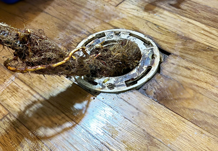 Sewer And Drain Cleaning